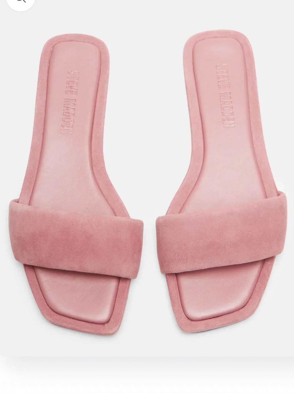 Steve Madden | Lumina flat slide sandal NWT blush/mauve